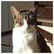 Dimitra_Papanikolaou7654