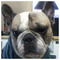 Michalis_Iacovides7171