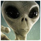 Nik_Anonymous7928