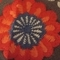 Rose1725