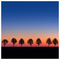 Stelios_Antoniou7645