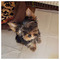 Pantelina_Chimonidou