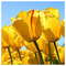 Maria_S_6898