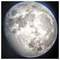 Alex_P_8512