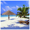 kostas_ioannoy9941