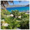 pelao_mykonos
