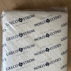 Greco Strom Στρώμα Παρκοκρέβατου Ιόλη VPA.IOL.ANT.000 με Κοκοφοίνικα 60cmx120cmx6cm