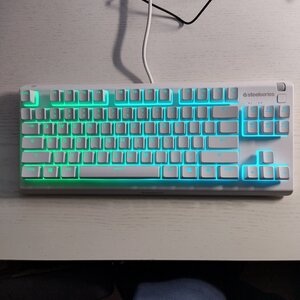 SteelSeries APEX 3 TKL Gaming Πληκτρολόγιο Tenkeyless με RGB φωτισμό (Αγγλικό US) Λευκό
