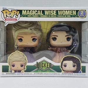 Funko Pop! Television: Wicked - Wish Exclusive