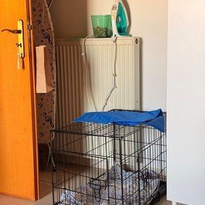 Crate Συρμάτινο Κλουβί Σκύλου Medium με 2 Πόρτες Μαύρο 76x46x52cm