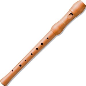 Hohner Ξύλινη Φλογέρα 9531 C Γερμανική NAKM121900027 Καφέ