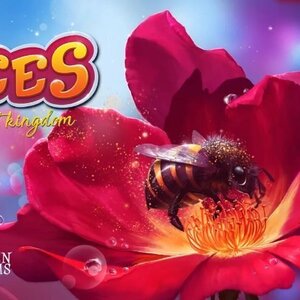 Επιτραπέζιο Παιχνίδι Bees Secret Kingdom για 2-6 Παίκτες 8+ Ετών VRGBSK (EN) Van Ryder Games