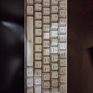 White Shark Shinobi Gaming Μηχανικό Πληκτρολόγιο 60% με Outemu Red διακόπτες και RGB φωτισμό (Αγγλικό US) Λευκό