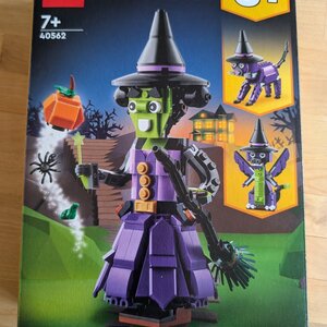 LEGO Creator Mystic Witch για 7+ Ετών 40562