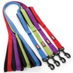 Dog Leashes & Leads
