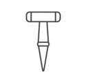 Kegel-Setzling