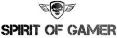 Spirit of Gamer