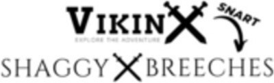 VikinX