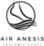 Air Anesis