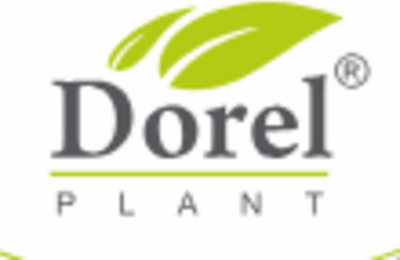 Dorel Plant