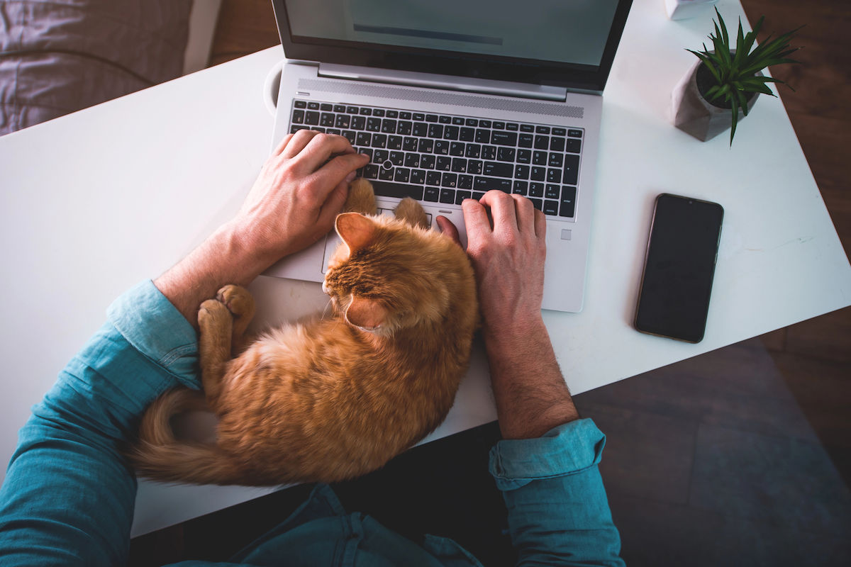 Cum setezi laptop lucru remote: Ghid dupa achizitie