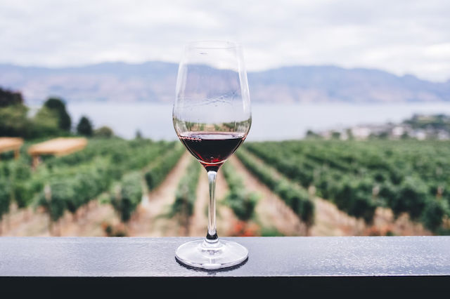 Wie wird Wein hergestellt?