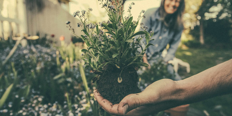 National Gardening Day: tips για να γίνεις επιτυχημένος κηπουρός