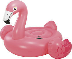 Pool Rafts & Inflatable Ride-ons