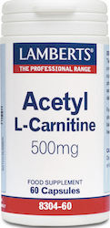 Acetil-L-Carnitină