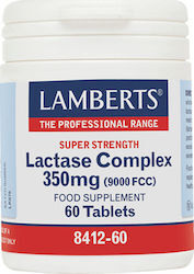 Lactase