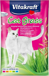 Cat Supplements