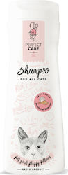 Shampoo & Cat Cosmetics