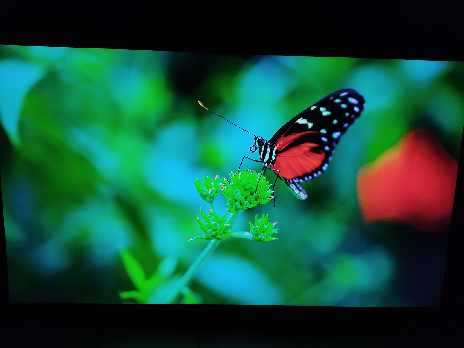 Metz Smart Τηλεόραση 65" 4K UHD LED 65MUB7000 HDR (2020)