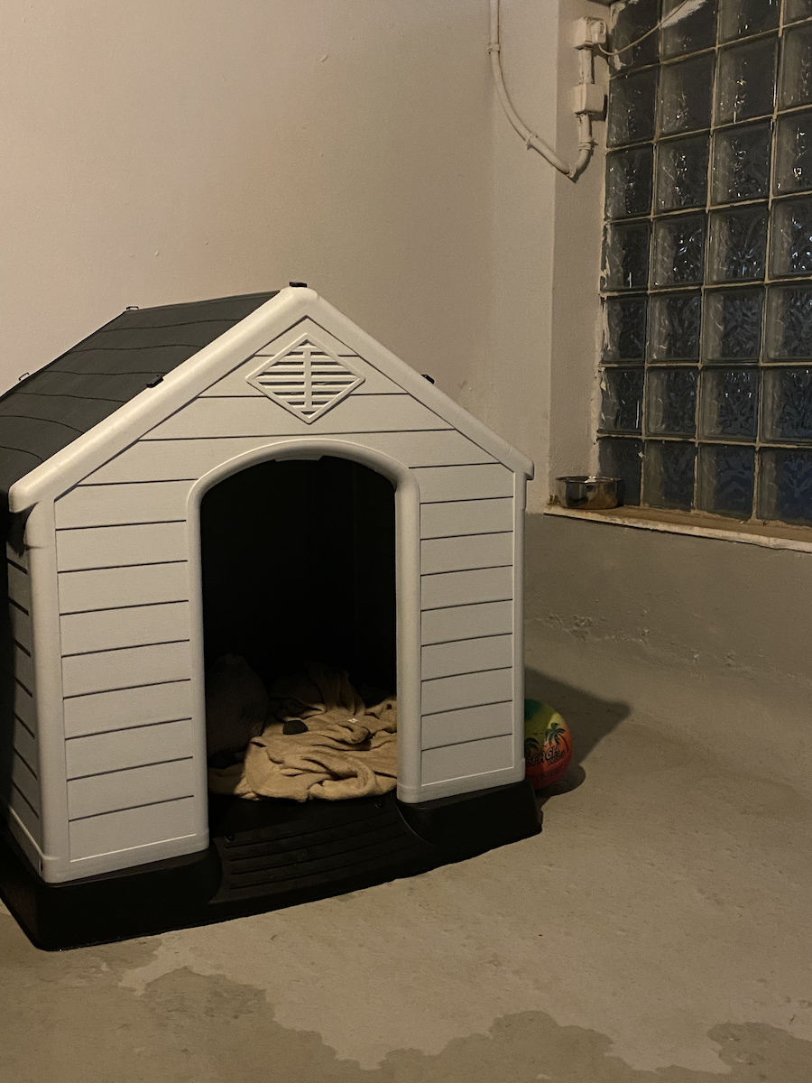 Vesta XXLarge Hundehaus Groß Kunststoff Außenbereich Weiß 123x110x114cm