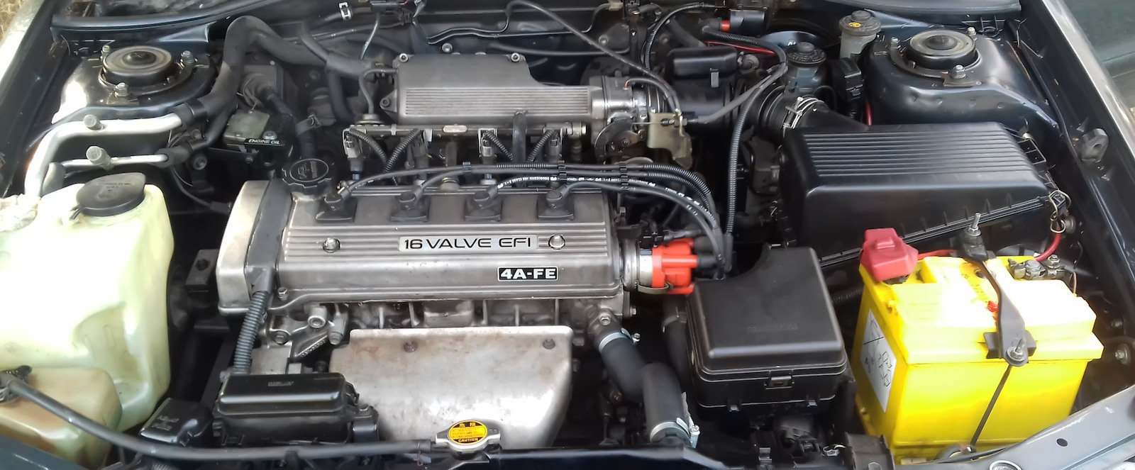Mitsuba Batterie Auto mit Kapazität 50Ah und CCA 430A