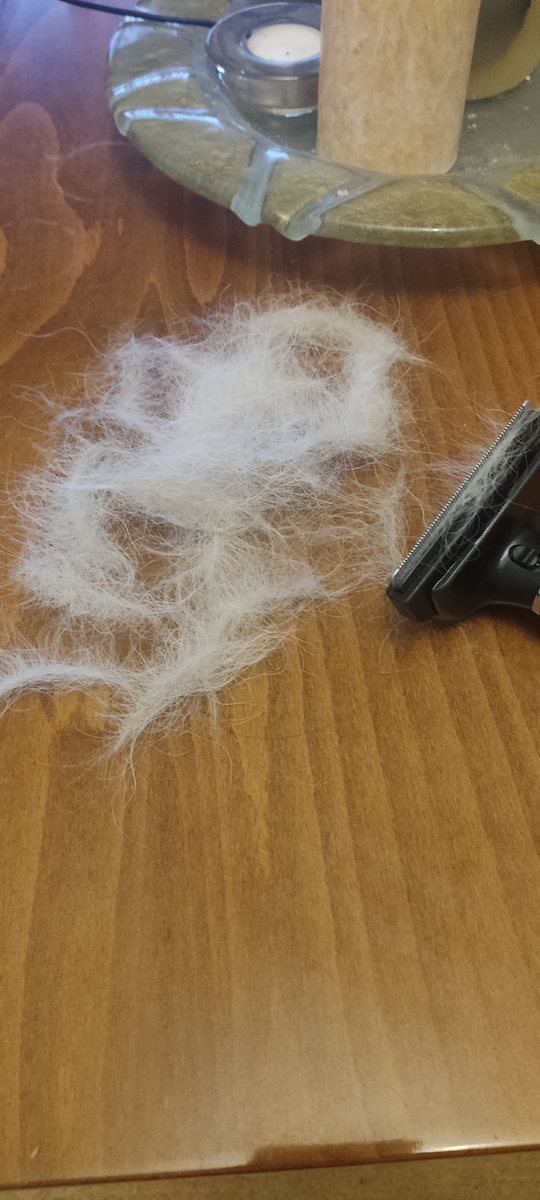 Pet Interest Self Shedding Tool Χτένα M Σκύλων για Καθαρισμό Τριχώματος