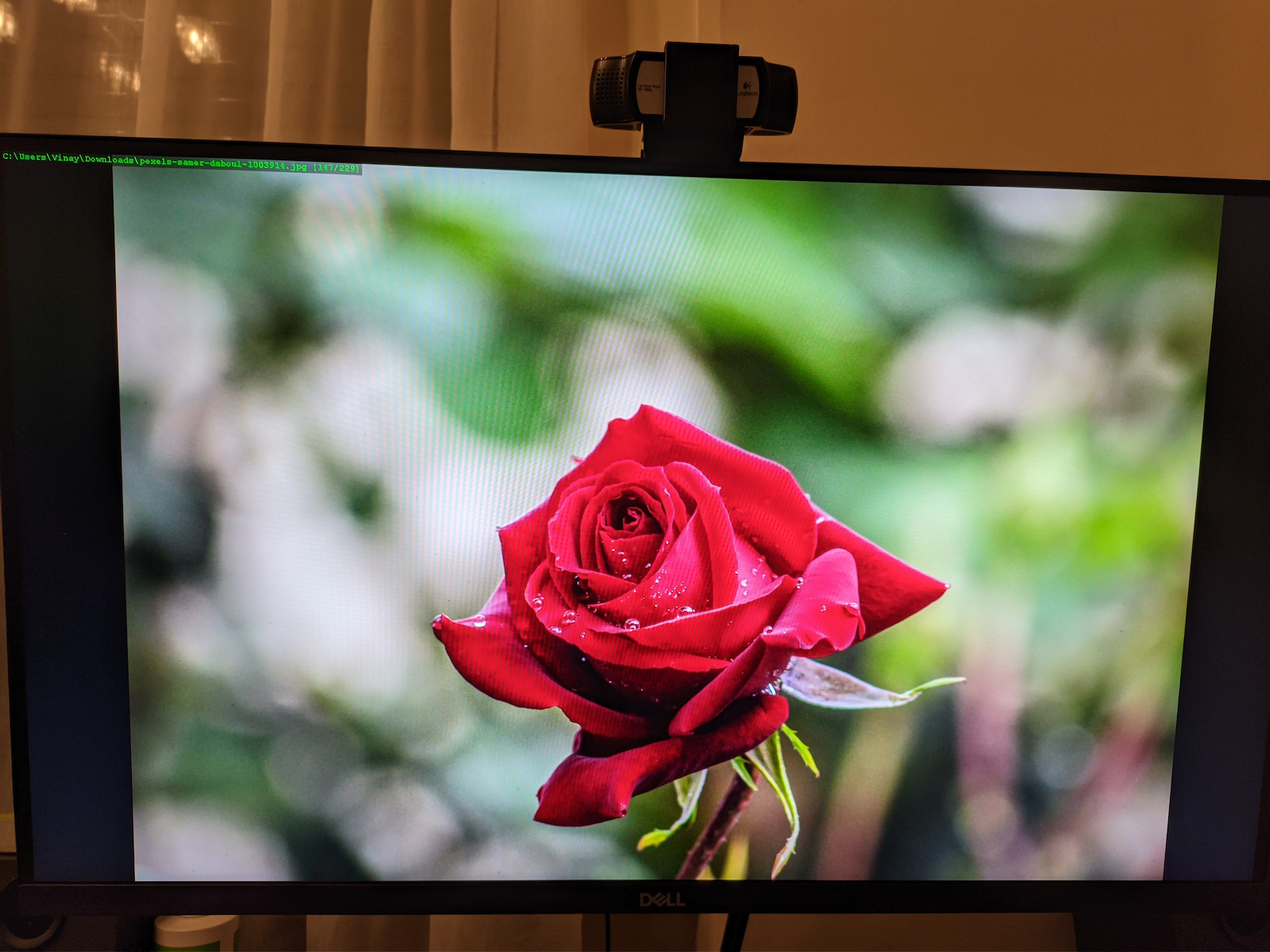 Dell S2721D IPS Monitor 27" QHD 2560x1440 με Χρόνο Απόκρισης 4ms GTG