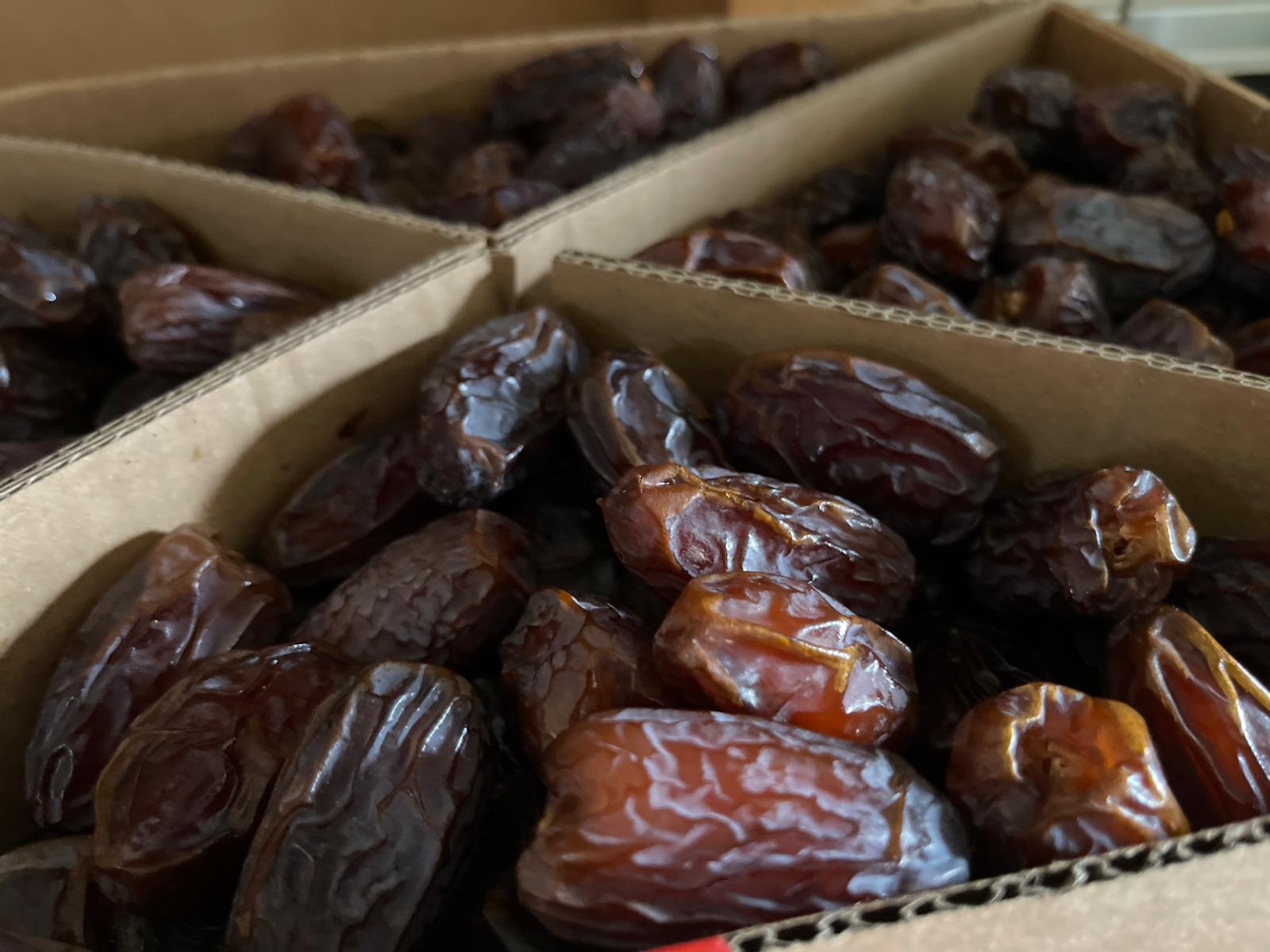 Nutsbox Medjool Nuts 5000gr