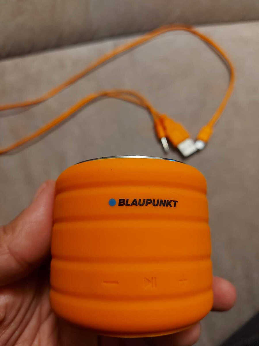Blaupunkt BT01 Bluetooth Speaker 3W with Radio and Battery Life up to 4 hours Blue