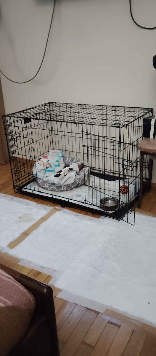 MrZoo Crate Wire Dog Cage XLarge with 2 Doors Black 107x68.5x75cm