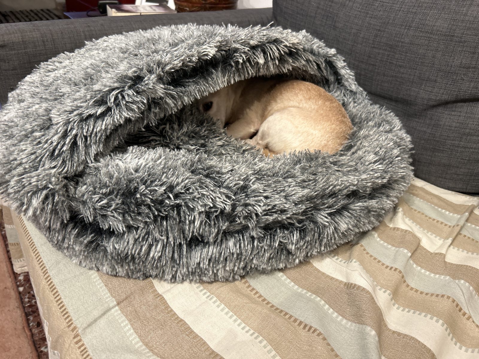 Animal Dog Bed Nest Gray 65x65cm