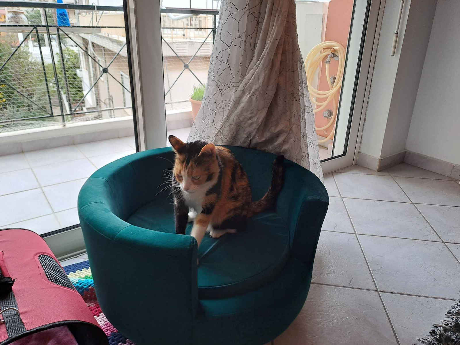 Pawhut Sofa Cat Green 65x64x37cm