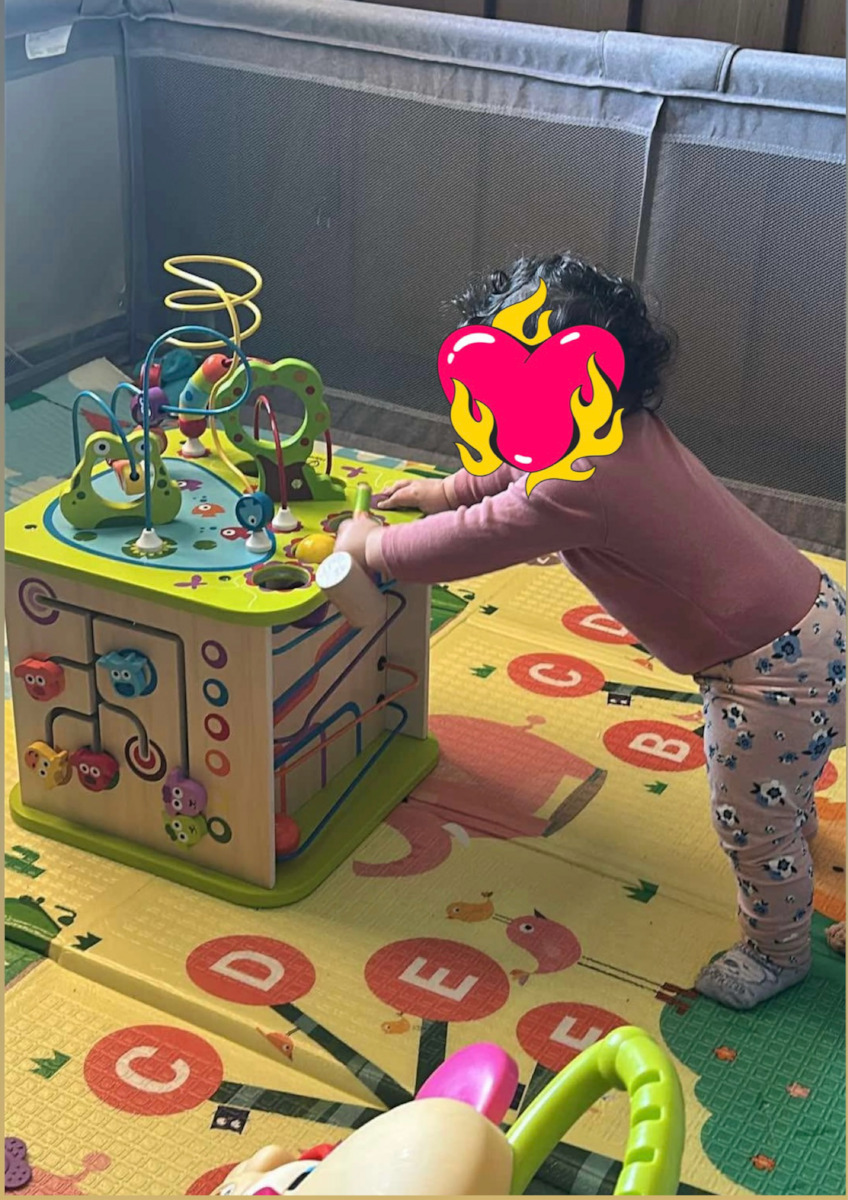 Hape Activity Cube Country Critters Play Cube made of Wood with Sounds for 12++ Months