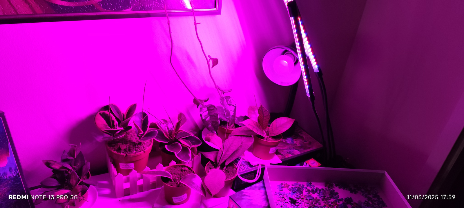 Gardlov Επιτραπέζιο Grow Light με 40 LED και Ισχύ 20W