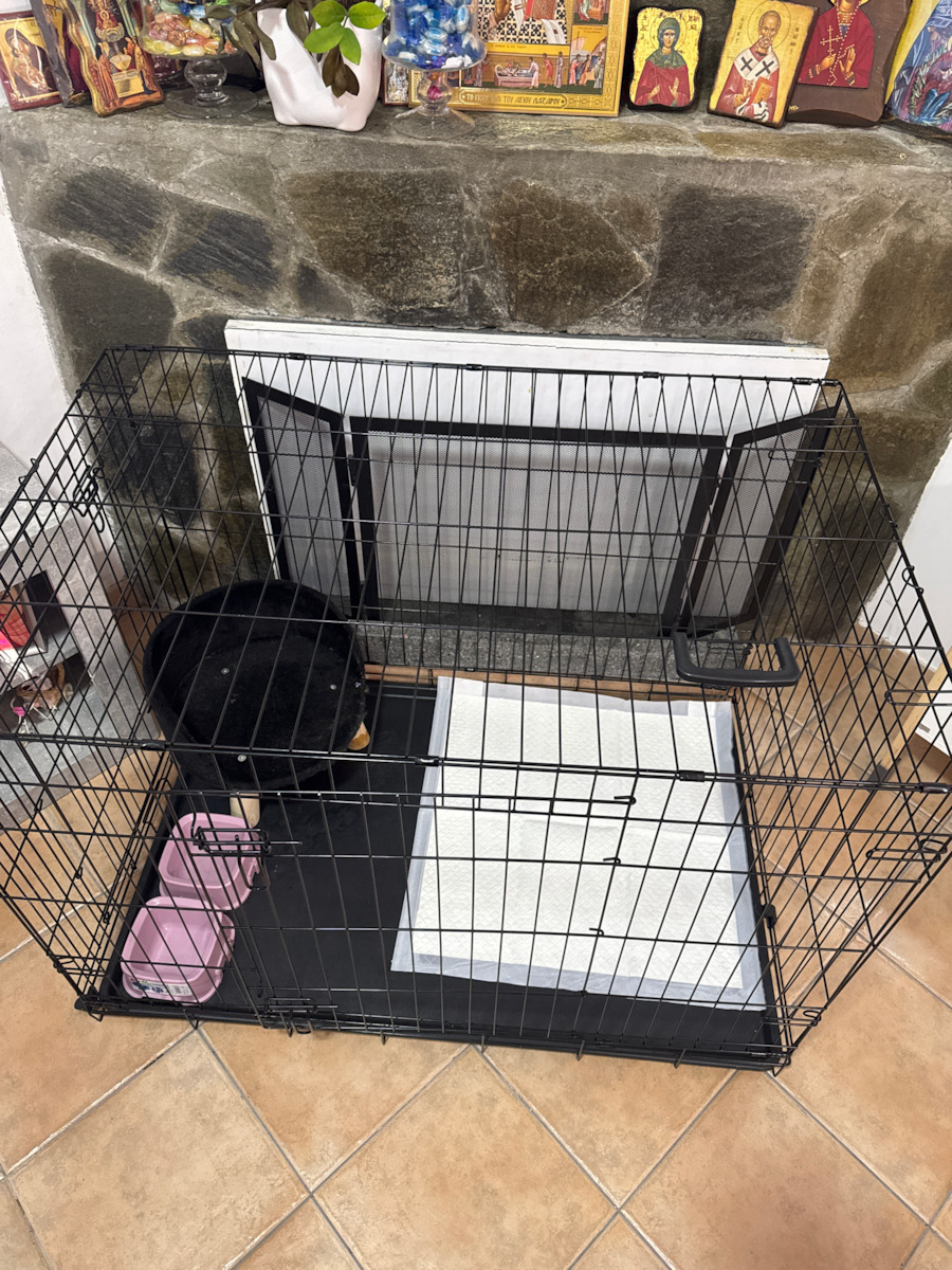 Glee Crate Restriction Medium Wire Dog Cage Medium with 2 Doors Black 75x46x53cm