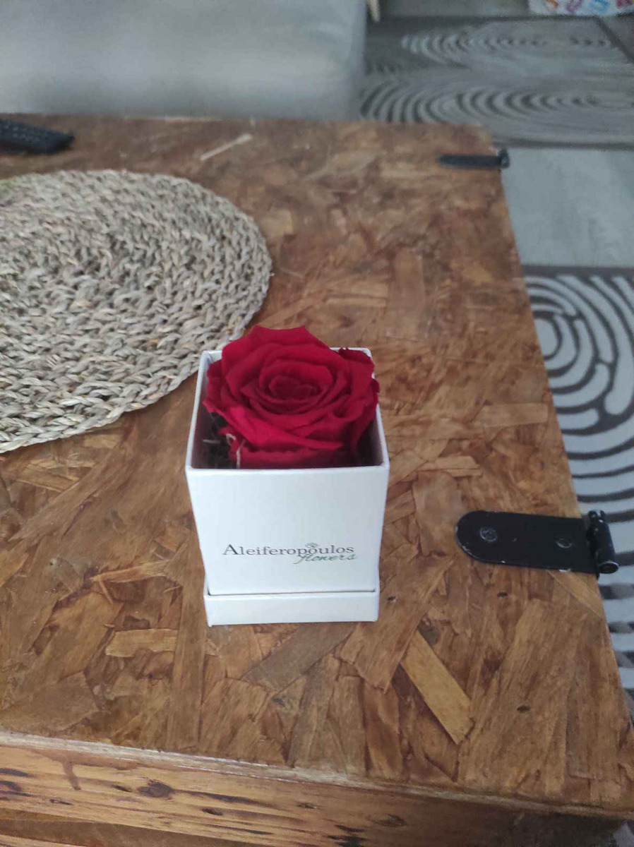 Eternal Rose Red 9cm in Box Aleiferopoulos Flowers