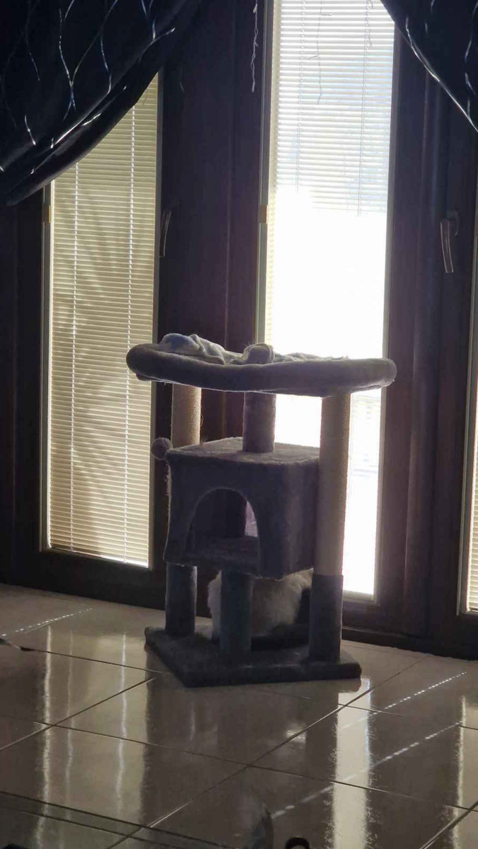 Animal Scratching Post Cat Trees Gray 3 levels 41x41x72cm