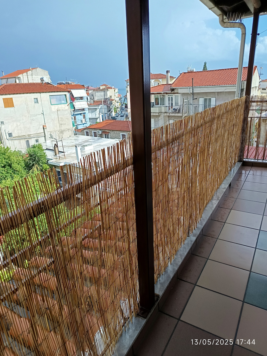 Grasher Bamboo Fencing with Whole Reed 1x5m