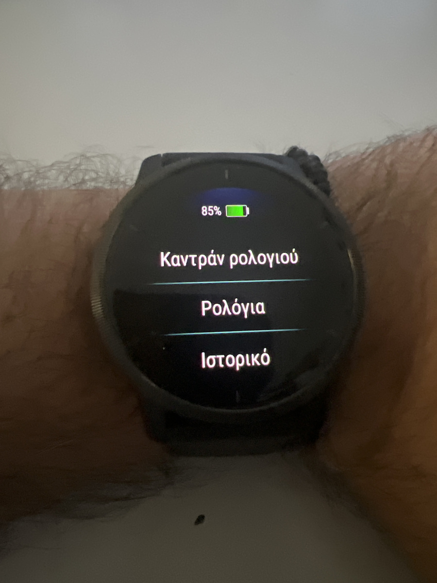 Garmin Venu 2 Oțel inoxidabil 45mm Rezistent la apă Smartwatch (Ardezie / Negru)