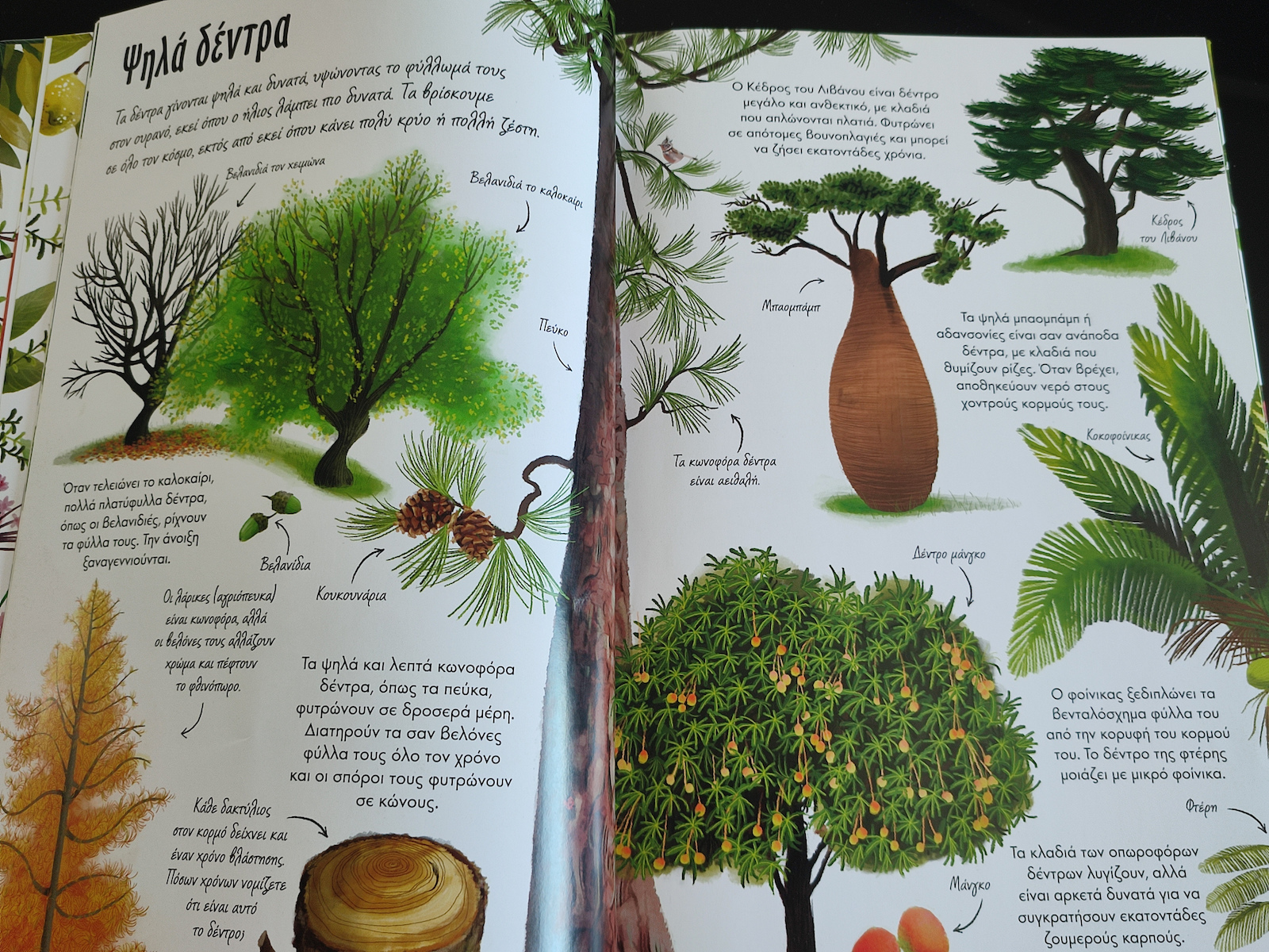 Das große Buch der Natur